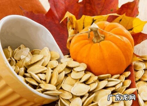 哪个品种的南瓜最香且面甜 口感好吃的南瓜品种