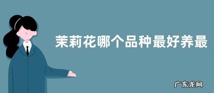 茉莉花哪个品种最好养最香 茉莉花品种介绍