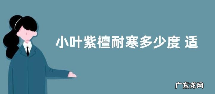 小叶紫檀耐寒多少度 适应最低温度是多少