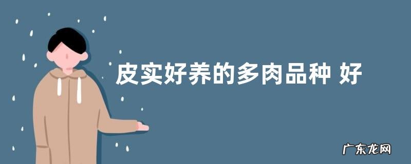 皮实好养的多肉品种 好养活又漂亮的多肉种类