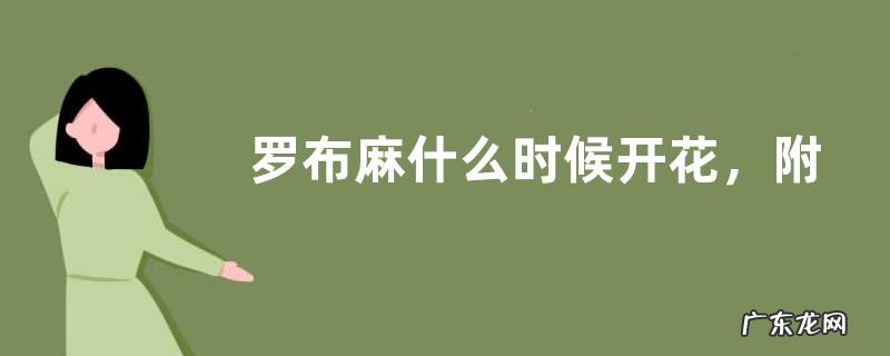 罗布麻什么时候开花,附泌蜜条件