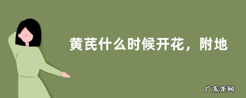 黄芪什么时候开花,附地理分布
