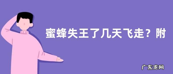 蜜蜂失王了几天飞走?附蜜蜂失王的补救措施