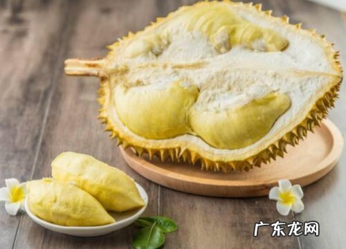 最顶级的榴莲品种 最好的榴莲品种排行榜