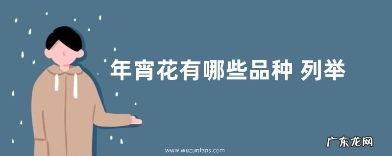 年宵花有哪些品种 列举常见的年宵花卉