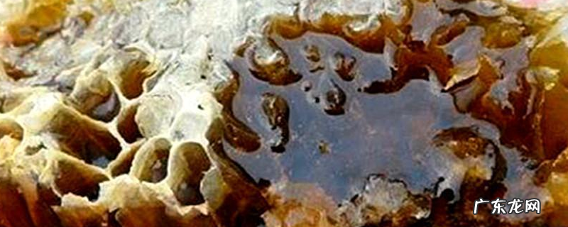 土蜂蜜和普通蜂蜜有什么区别,详细介绍