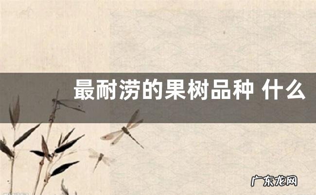 最耐涝的果树品种 什么果树耐水涝