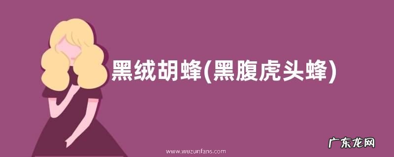 黑腹虎头蜂 黑绒胡蜂,生活习性是什么