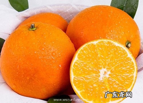 橙类水果有哪些品种 橙子类水果有什么好品种