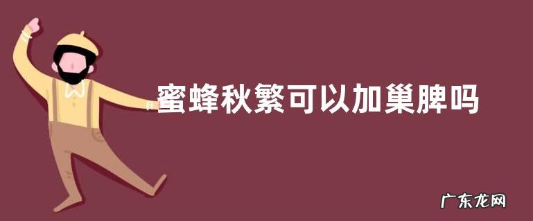 蜜蜂秋繁可以加巢脾吗