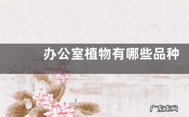 办公室植物有哪些品种 办公室绿植品种及名称图片