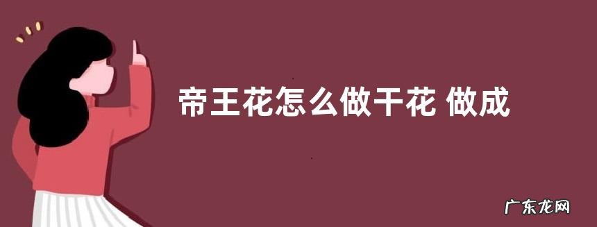帝王花怎么做干花 做成干花的方法