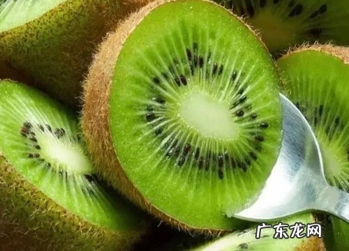 猕猴桃有种子吗 种子繁殖苗能结果吗