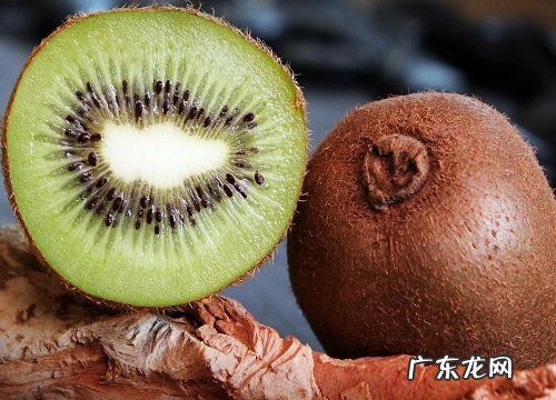 猕猴桃有种子吗 种子繁殖苗能结果吗