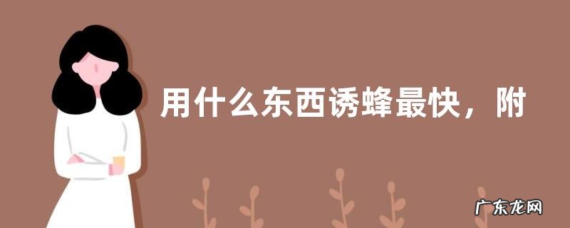 用什么东西诱蜂最快,附诱蜂注意事项