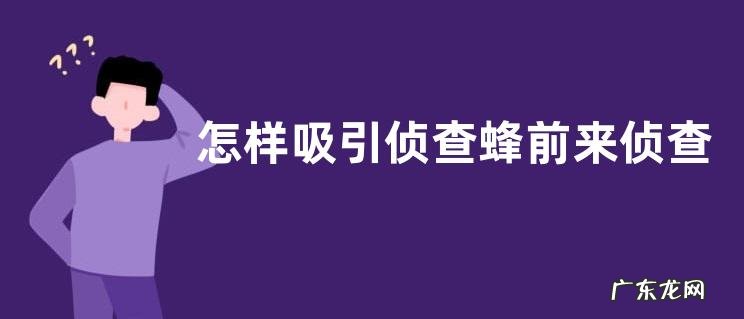 怎样吸引侦查蜂前来侦查，附诱蜂注意事项
