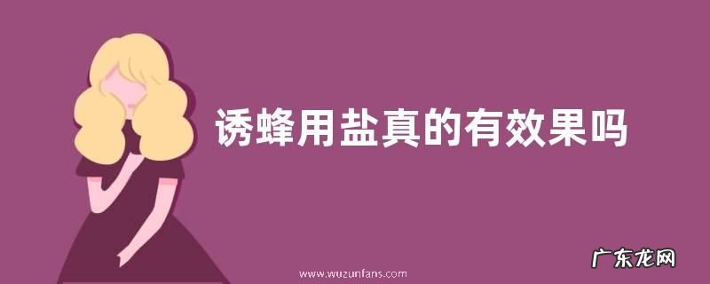 诱蜂用盐真的有效果吗