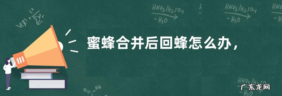 蜜蜂合并后回蜂怎么办,注意事项有哪些