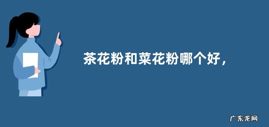 茶花粉和菜花粉哪个好,附区别