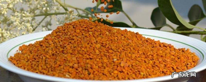 茶花粉和荷花粉哪个好,详细介绍