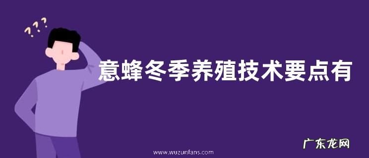 意蜂冬季养殖技术要点有哪些,主要有以下几个方面
