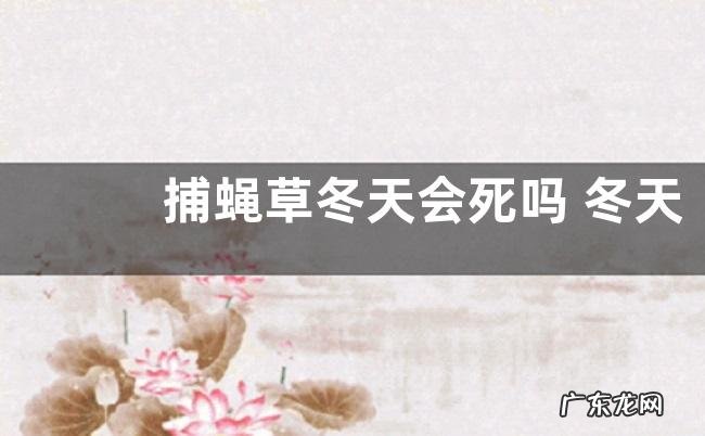 捕蝇草冬天会死吗 冬天枯了春天还长吗
