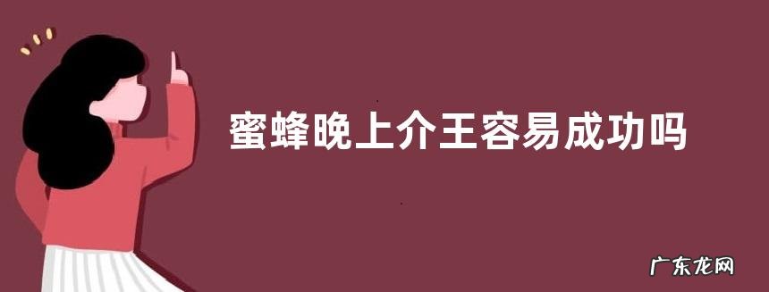 蜜蜂晚上介王容易成功吗，附操作原理及介王方法