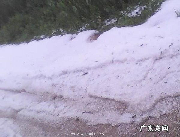 赤道附近的喀麦隆下雪了 非洲下雪实属罕见