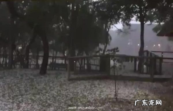 赤道附近的喀麦隆下雪了 非洲下雪实属罕见