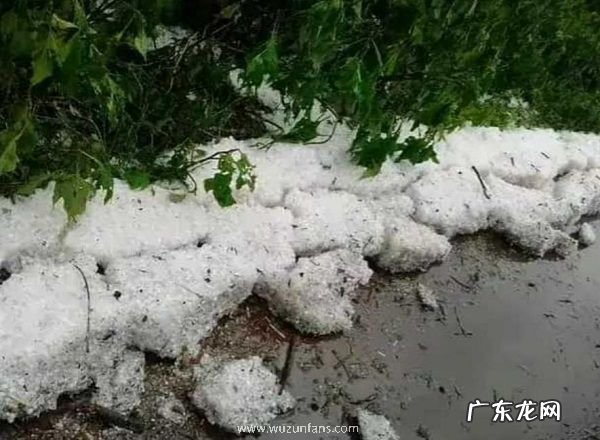 赤道附近的喀麦隆下雪了 非洲下雪实属罕见