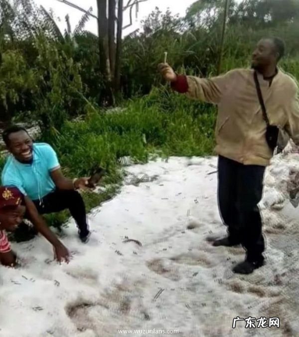 赤道附近的喀麦隆下雪了 非洲下雪实属罕见