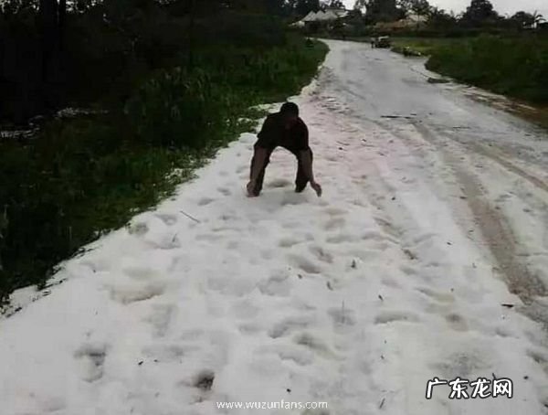 赤道附近的喀麦隆下雪了 非洲下雪实属罕见