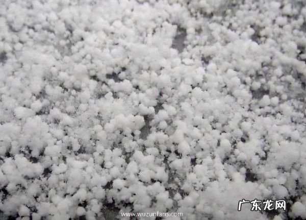 赤道附近的喀麦隆下雪了 非洲下雪实属罕见