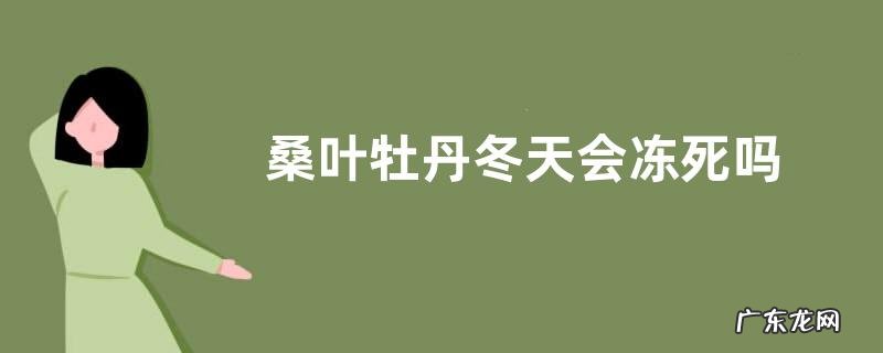 桑叶牡丹冬天会冻死吗