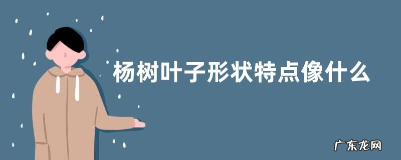 杨树叶子形状特点像什么 叶子是什么样子的图片