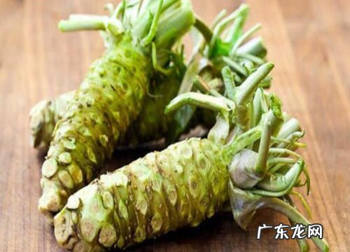 芥末和辣根一样吗 有什么区别