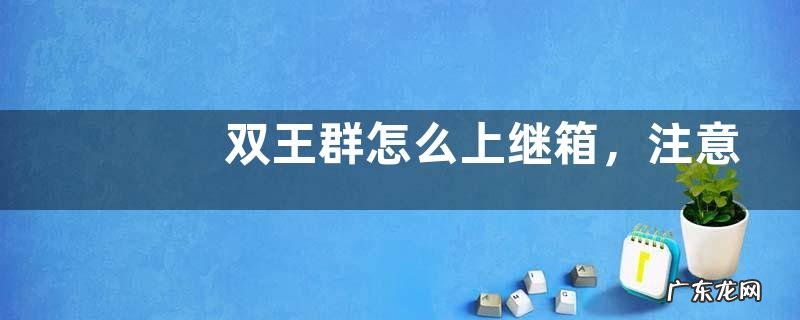 双王群怎么上继箱,注意事项有哪些