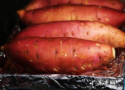 木薯和红薯一样吗 有什么区别