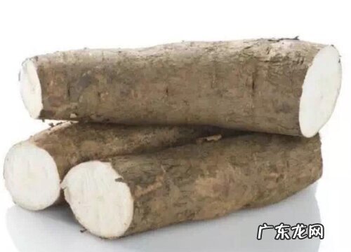 木薯和红薯一样吗 有什么区别