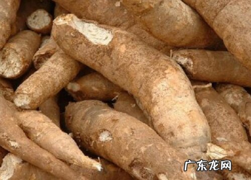 木薯和红薯一样吗 有什么区别