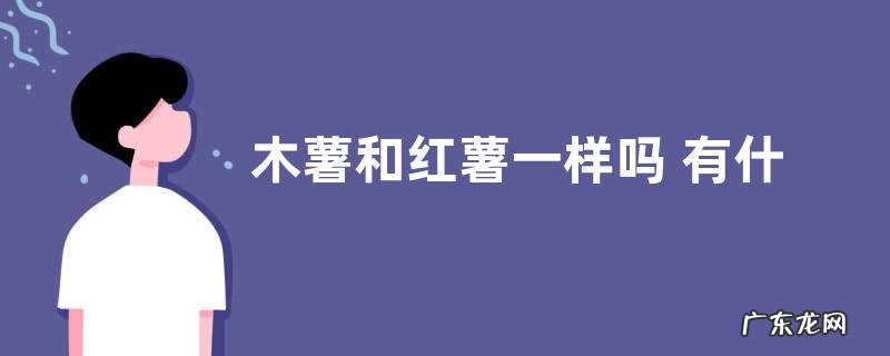 木薯和红薯一样吗 有什么区别