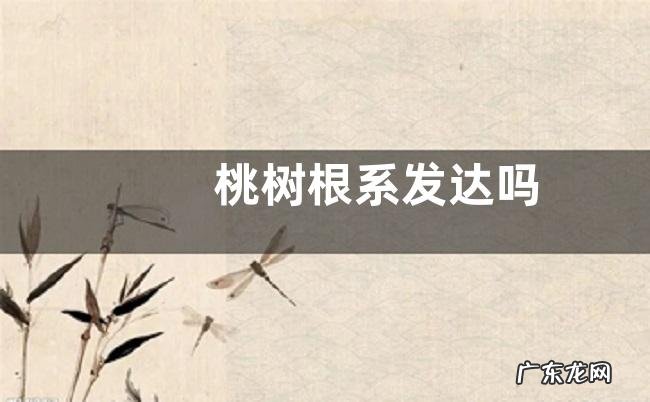 桃树根系发达吗