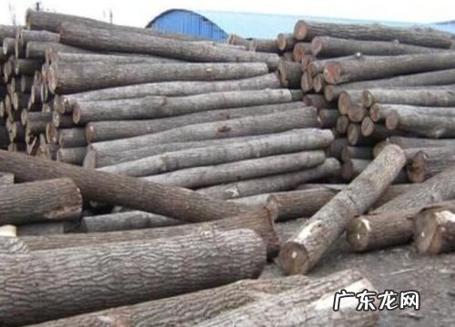 香柏木和柏木一样吗 有啥区别