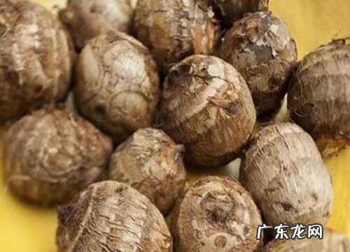 吃茎的蔬菜有哪些 平时吃植物茎的蔬菜品种