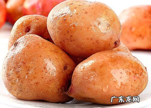 吃茎的蔬菜有哪些 平时吃植物茎的蔬菜品种