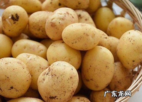 吃茎的蔬菜有哪些 平时吃植物茎的蔬菜品种