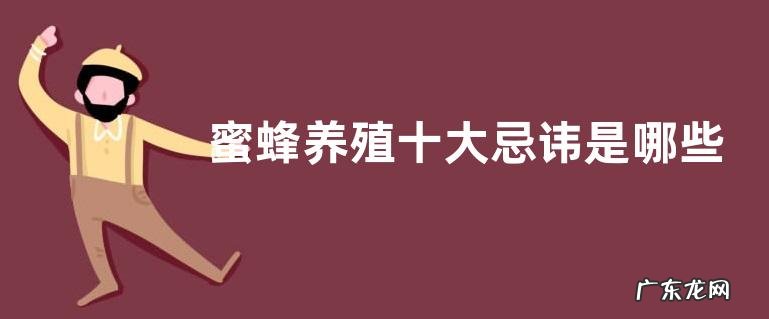 蜜蜂养殖十大忌讳是哪些?正确的做法是什么
