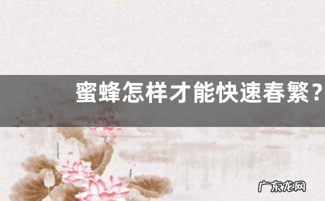 蜜蜂怎样才能快速春繁？整个春繁期都要加强病害防治工作