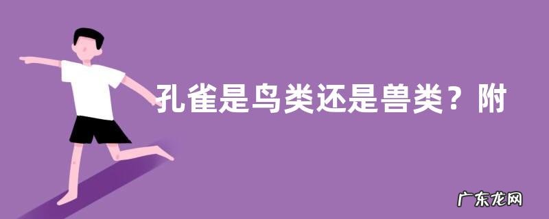 孔雀是鸟类还是兽类?附常见孔雀品种