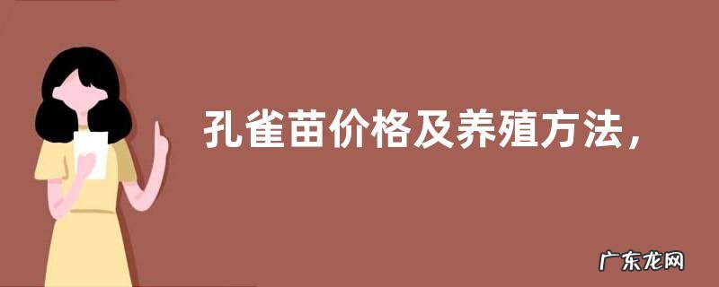 孔雀苗价格及养殖方法，附养殖管理方法
